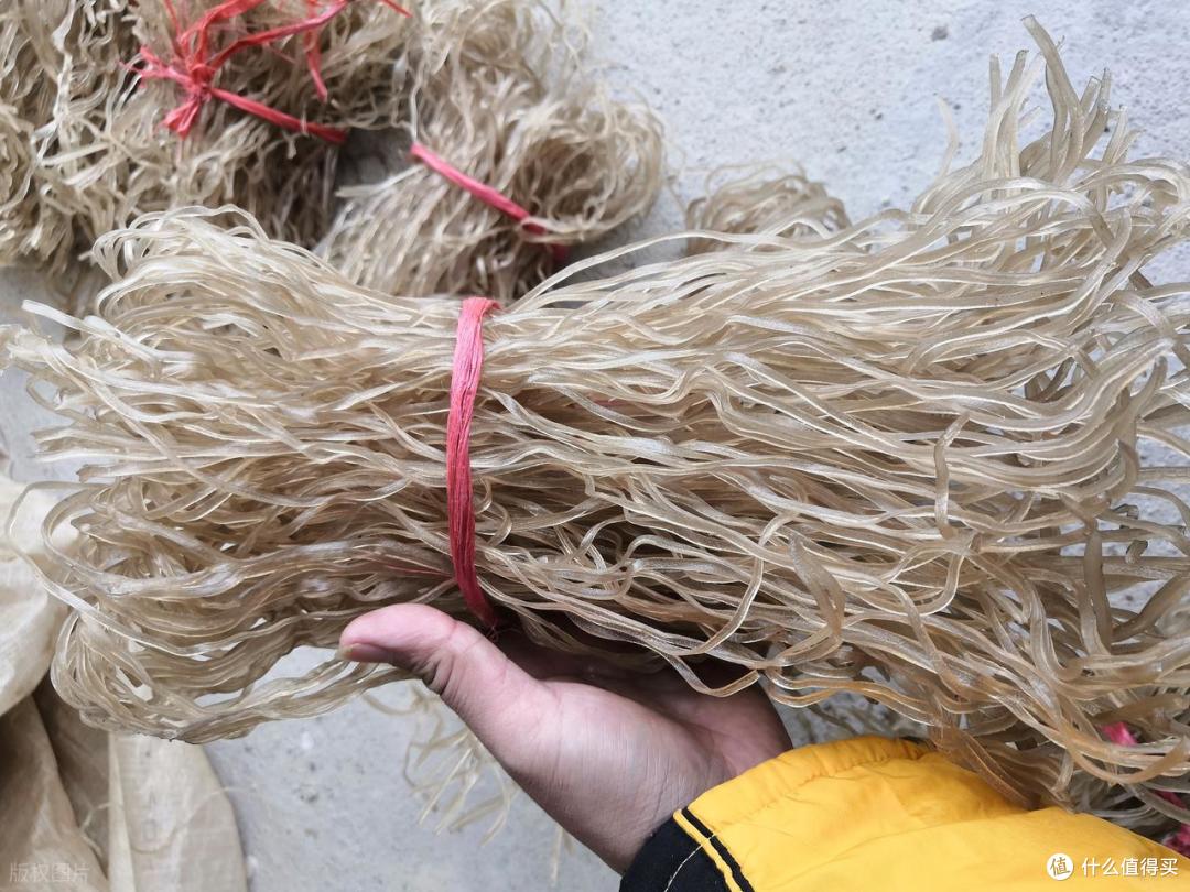 懂行人买粉条,绝不听别人瞎说,只需记住这4点,轻松买到优质货