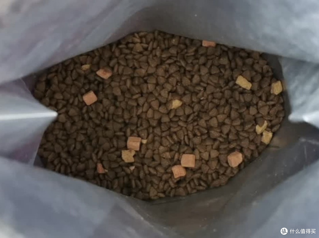 翻滚吧毛球！麦富迪三文鱼冻干粮，吃出猫咪高光时刻。
