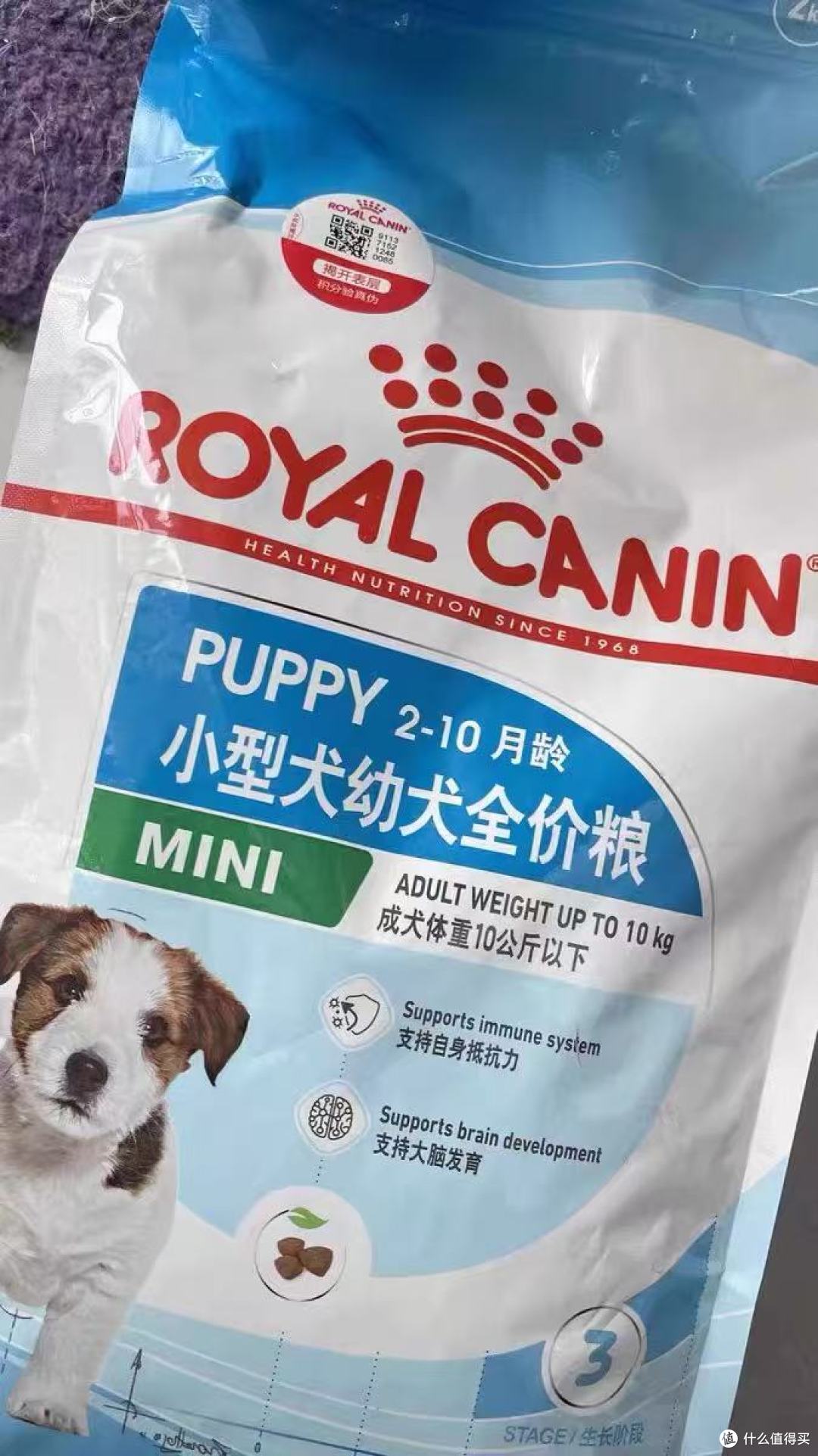 2025年幼犬狗粮排行榜TOP10:皇家MIS30领衔的科学喂养选择