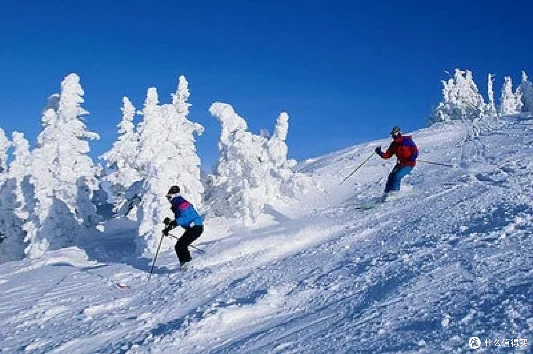 雪场评测：雪道难度与选择指南