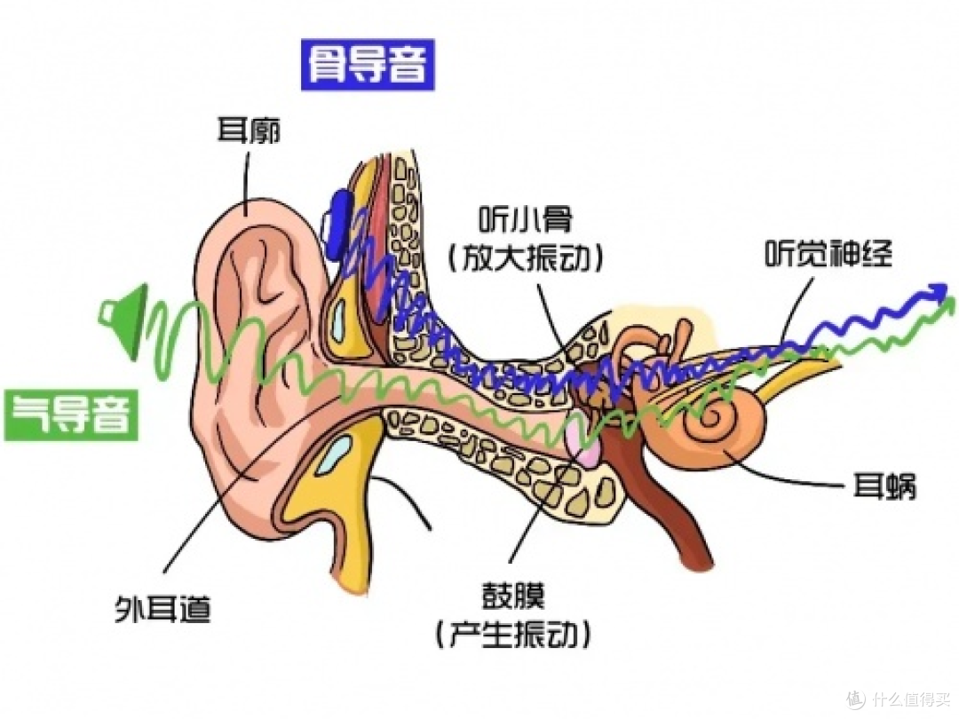 耳夹式耳机是什么？有没有性价比高的推荐？2026开放式耳机推荐