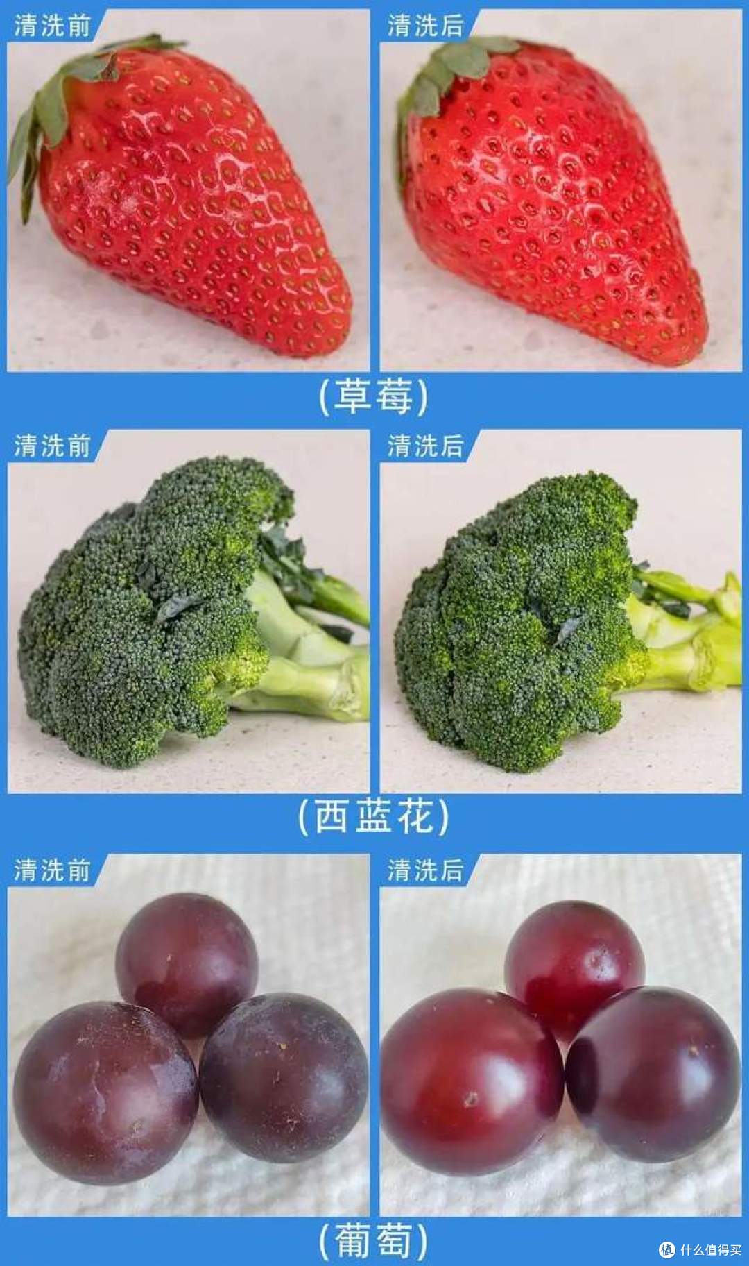 苏泊尔果蔬净化机真的有用吗?哪个型号好?听听过来人的大实话!