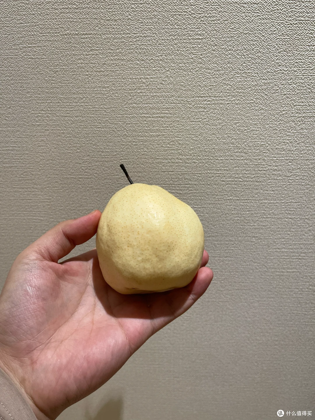 12月底-1月,最佳赏味期水果分享
