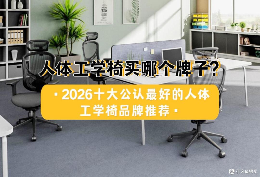 人体工学椅买哪个牌子？2026十大公认最好的人体工学椅品牌推荐