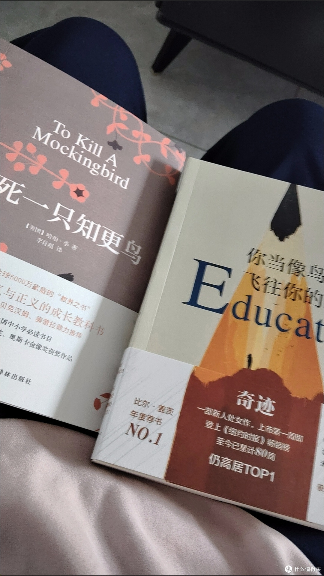 布恩迪亚家族的兴衰与孤独