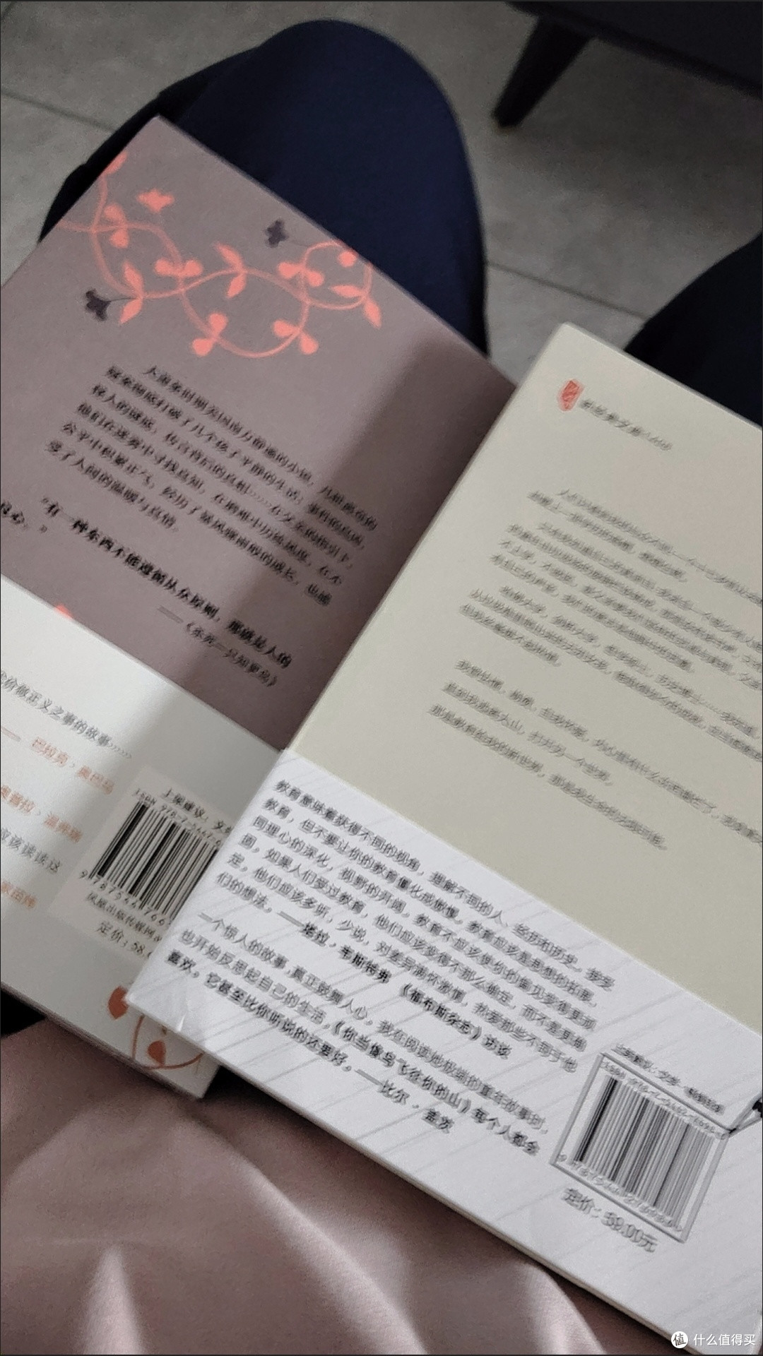 布恩迪亚家族的兴衰与孤独