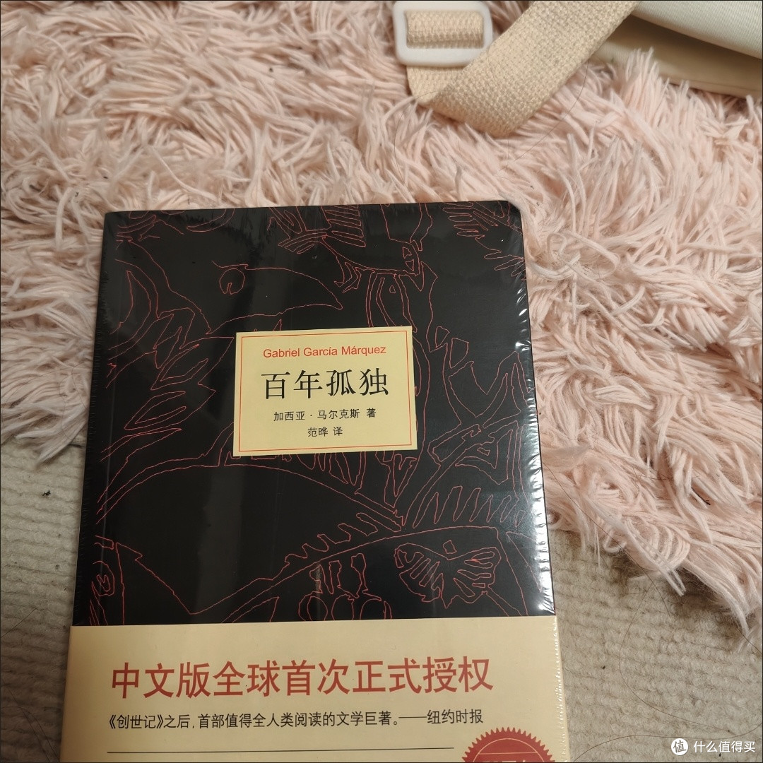 布恩迪亚家族的兴衰与孤独