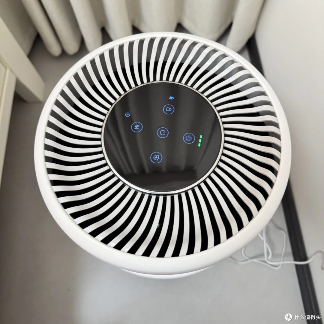 养猫一年,空气净化器解决异味和毛发