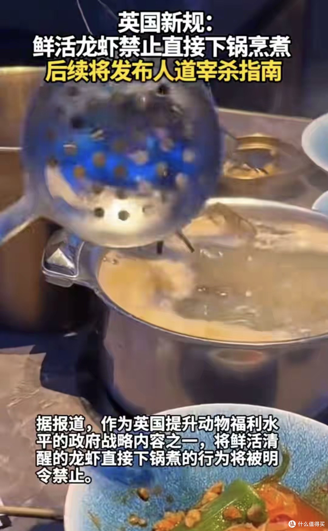 活煮龙虾要犯法？英国新规炸锅：人类的文明，不该让海鲜遭罪！