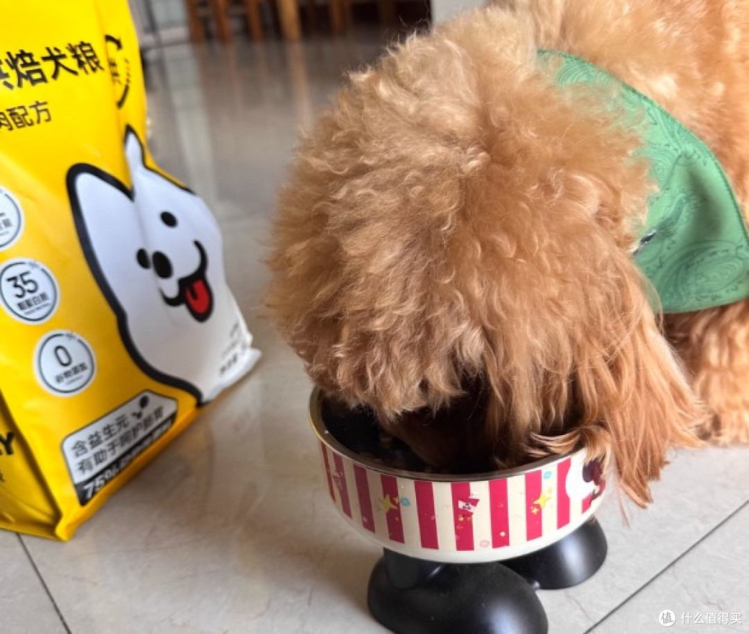 挑食的狗吃什么狗粮好?朗亲狗粮vs希喂狗粮哪个更香?狗狗狂吃