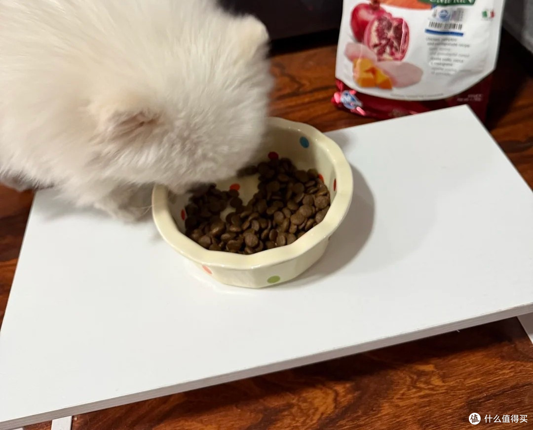 挑食严重的狗吃哪款狗粮好一点？推荐最值得买的十大烘焙狗粮品牌