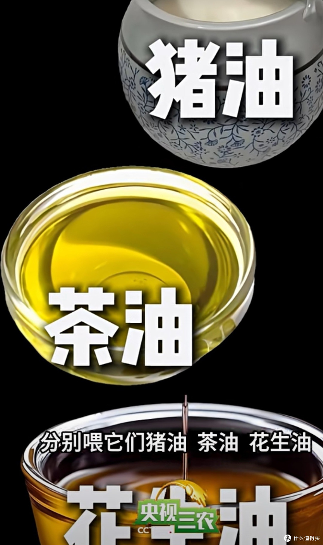 心脏病患者油脂选择:欧米伽 - 3和欧米伽 - 6的平衡之道