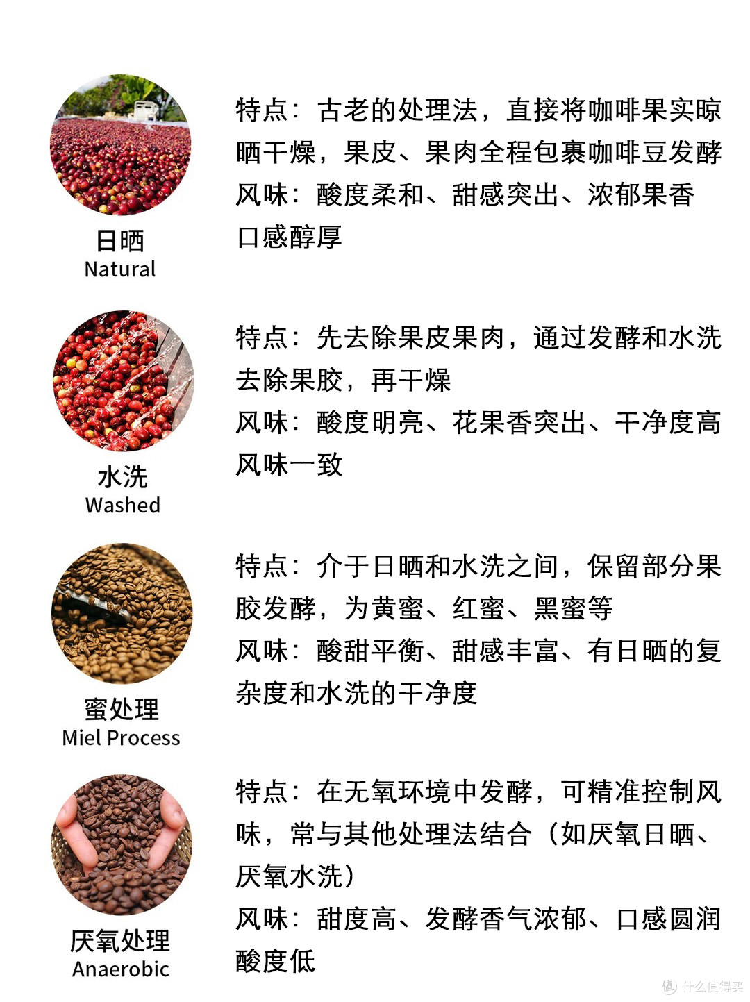 自学手冲咖啡怎么入门