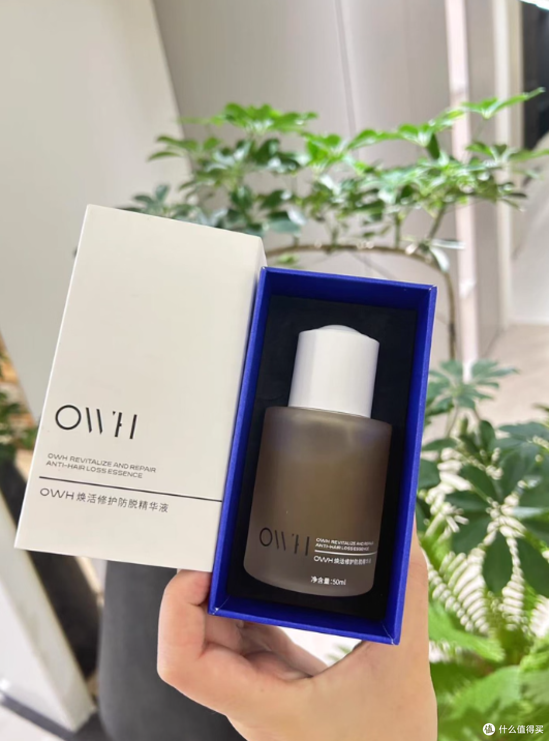 OWH防脱精华让我告别“秃头焦虑”,30天养出蓬松高颅顶