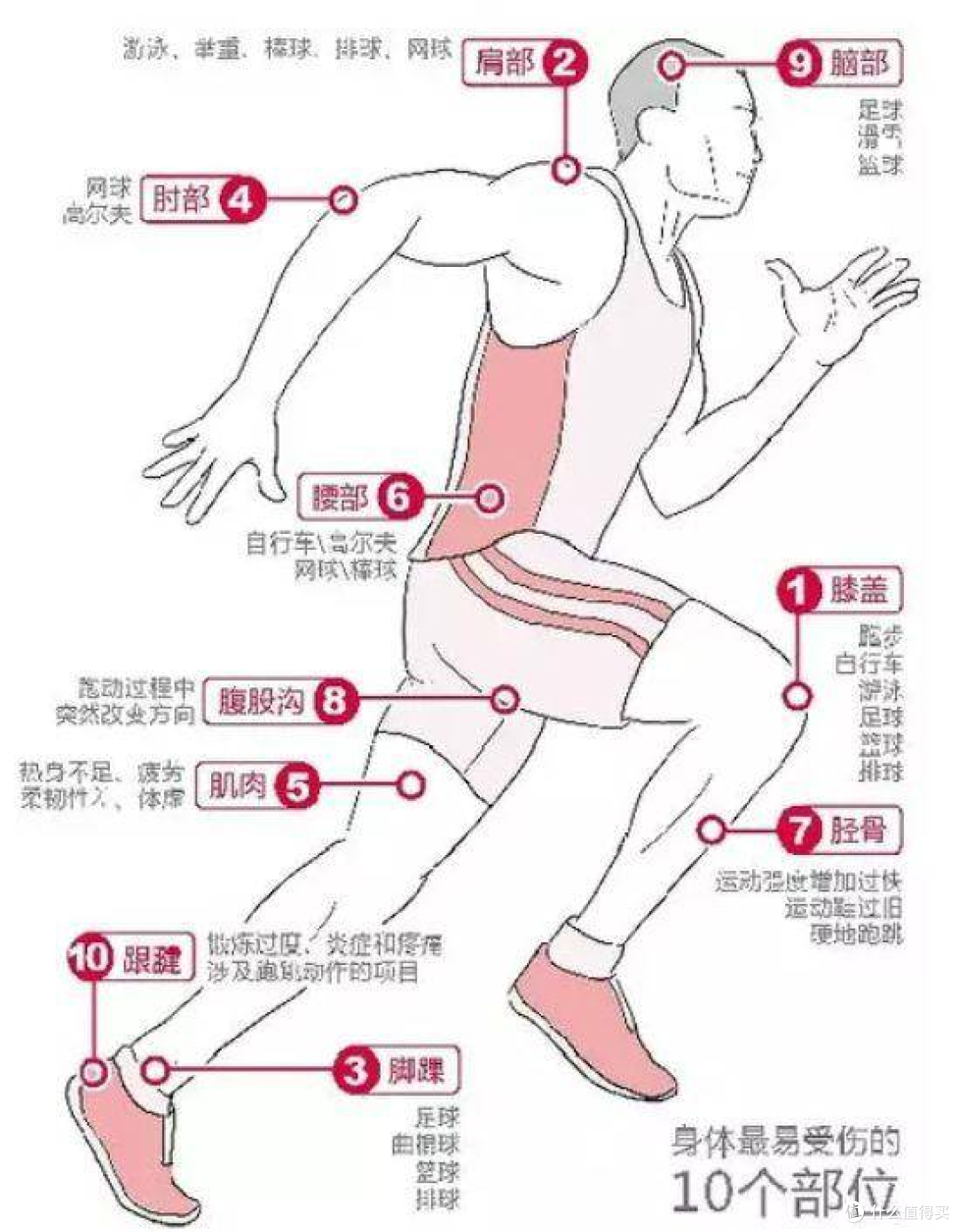 睿可维运动恢复能量粉:一站式满足运动后五大营养刚需