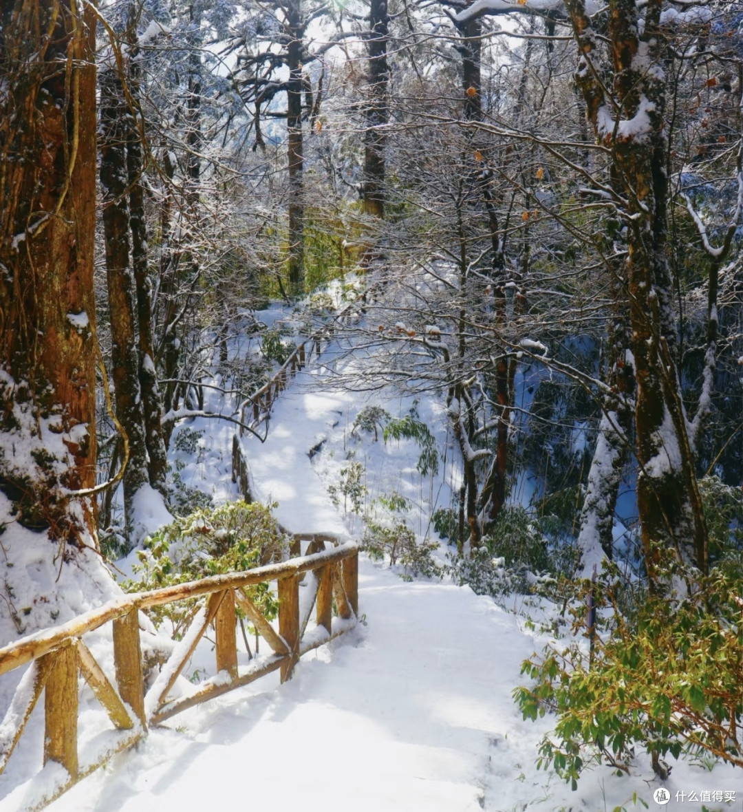 成都周边小众玩雪地推荐