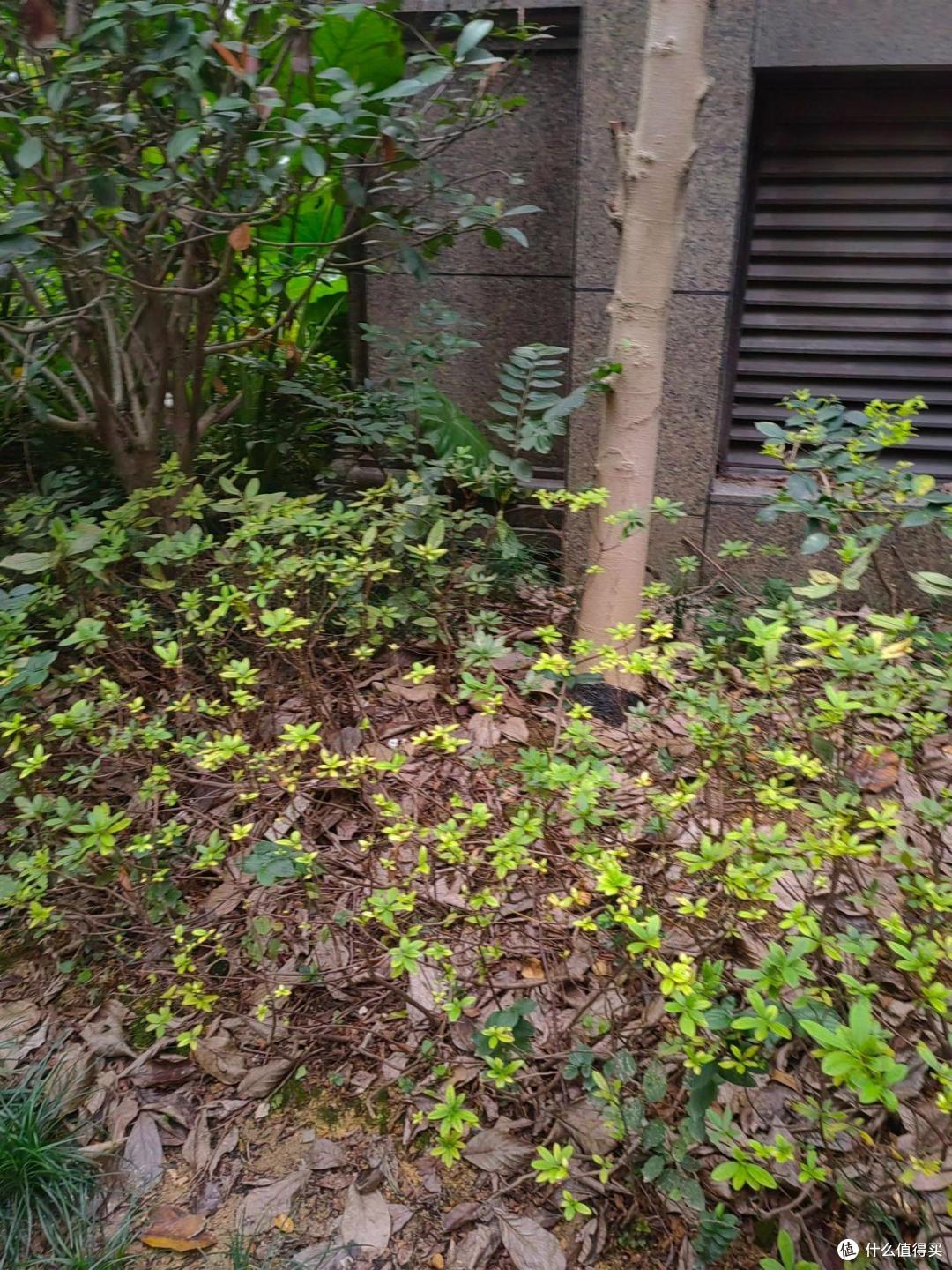 有一种痛苦叫买了“二手房”,不好住也不好卖,彻底沦为不动产