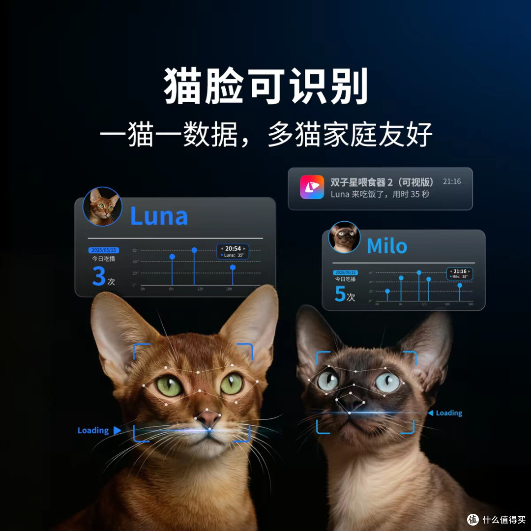 小佩猫咪智能喂食器:让每一次投喂都藏着安心与牵挂