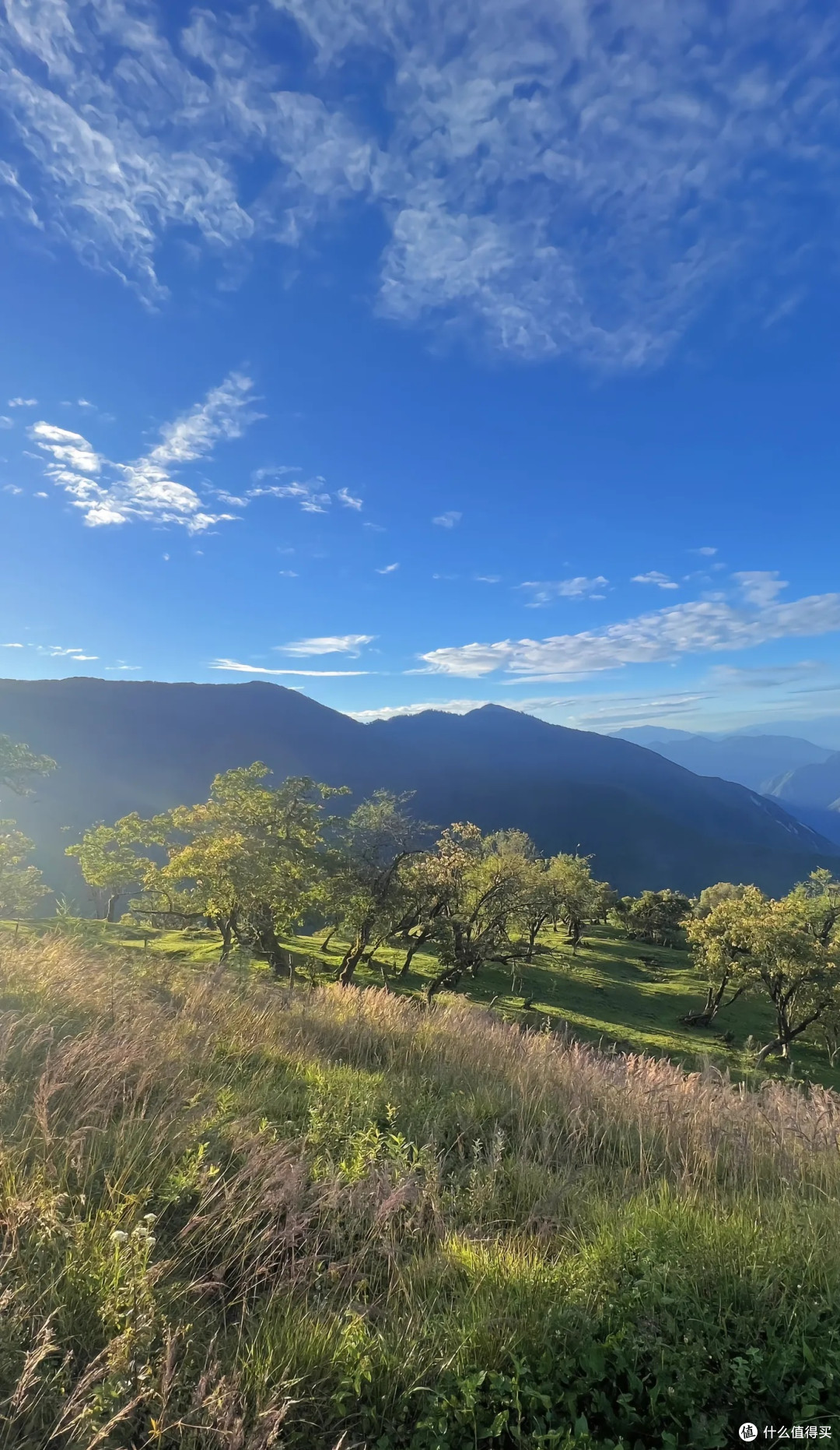 风景中的宁静与美丽