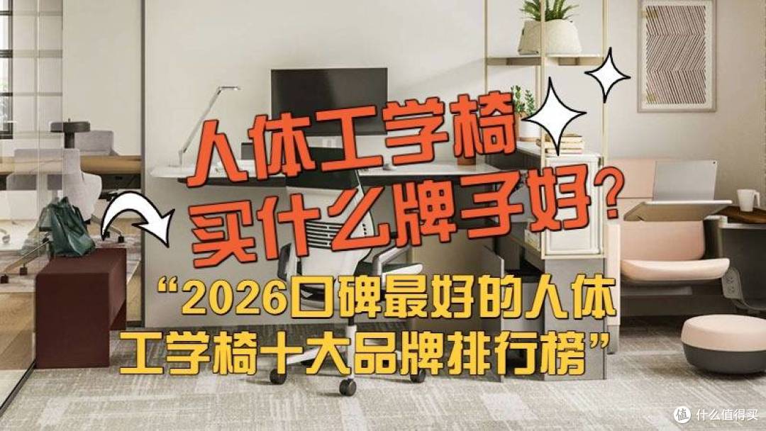 人体工学椅什么牌子好?2026口碑最好的人体工学椅十大品牌排行榜