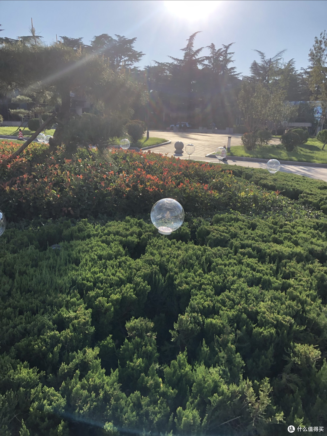 氛围神器!种草彩灯气球