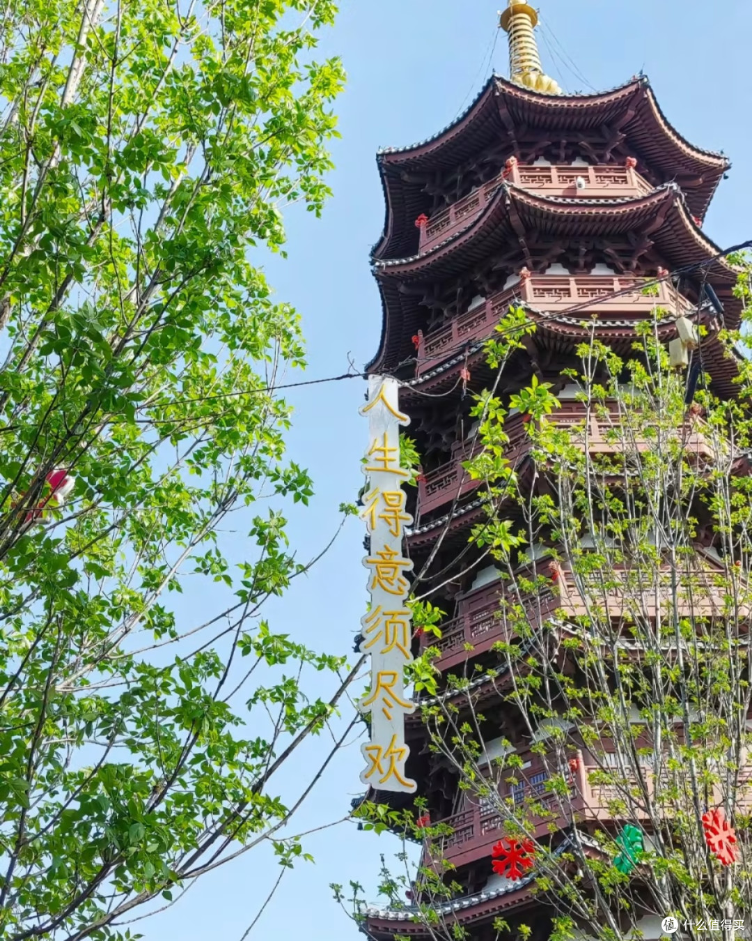 曹州牡丹园：全球最大牡丹观赏地