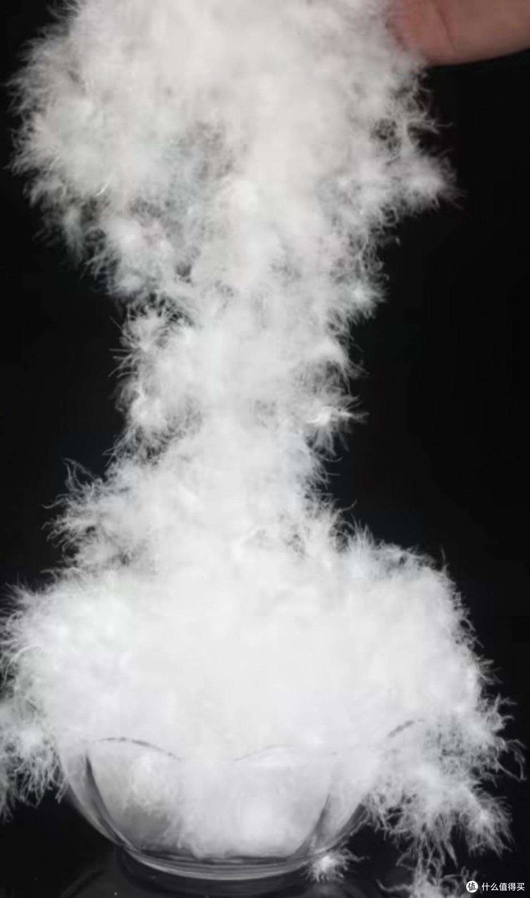 好的羽绒状态