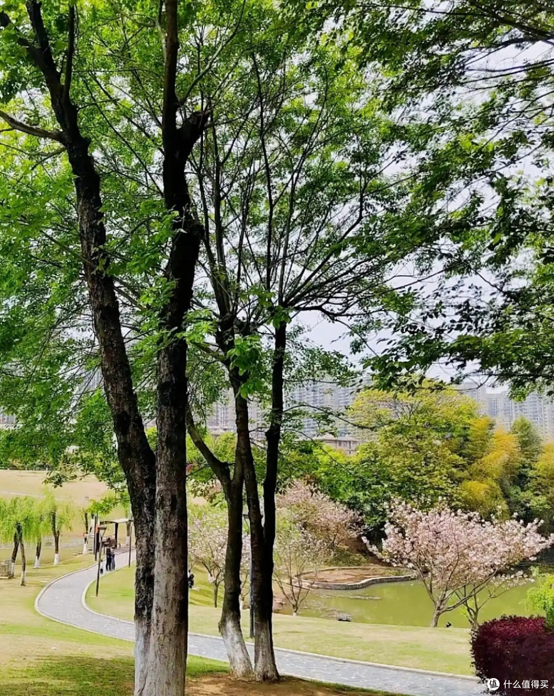 旅游