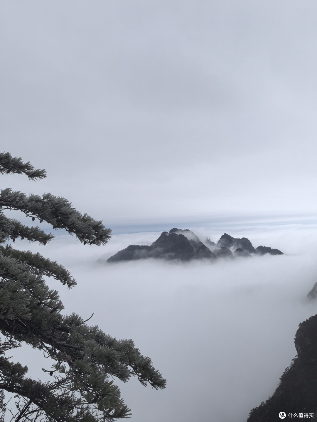 元旦冲黄山！雪后真的美到失语