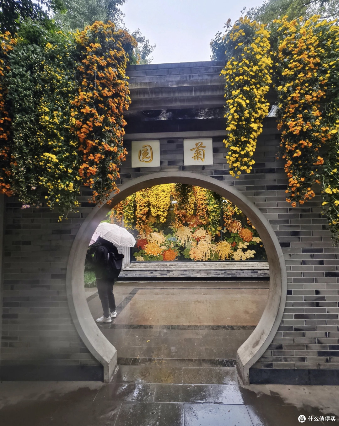 周末逛公园的小美好