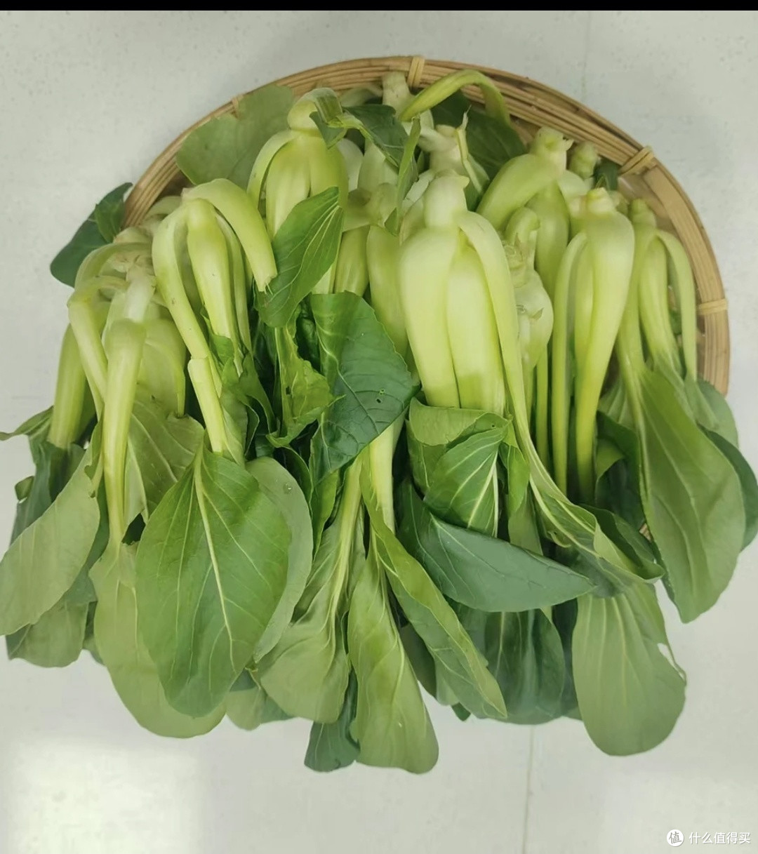 健康饮食