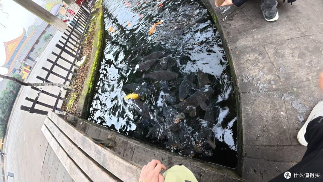大疆使用体验