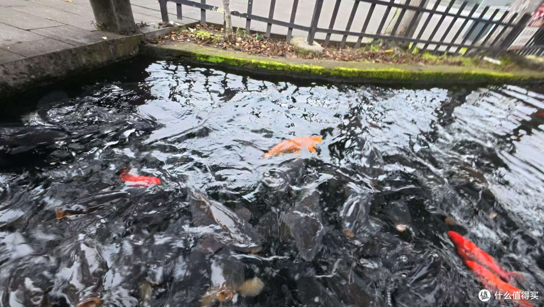 大疆使用体验