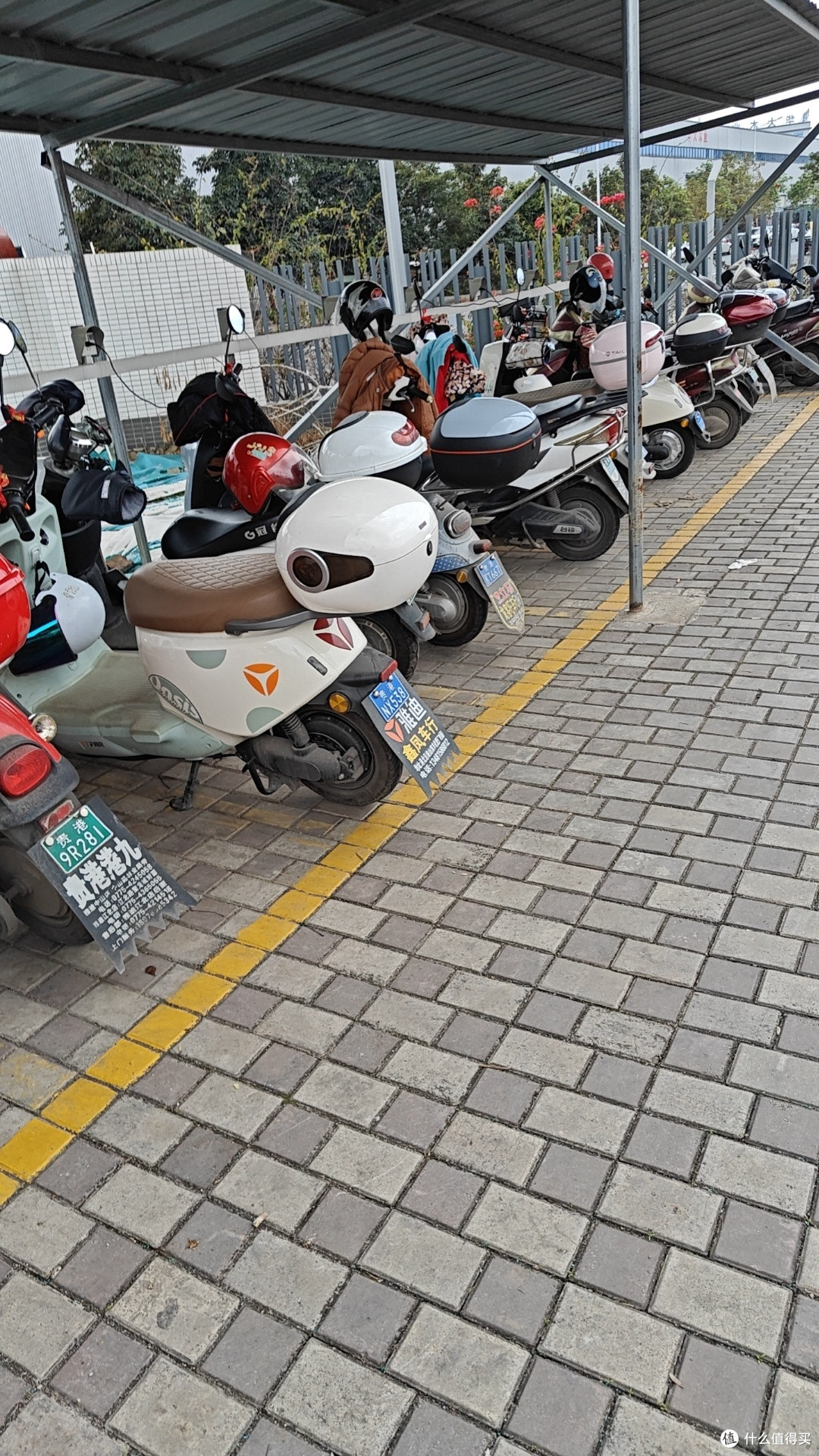 冬日用车计划