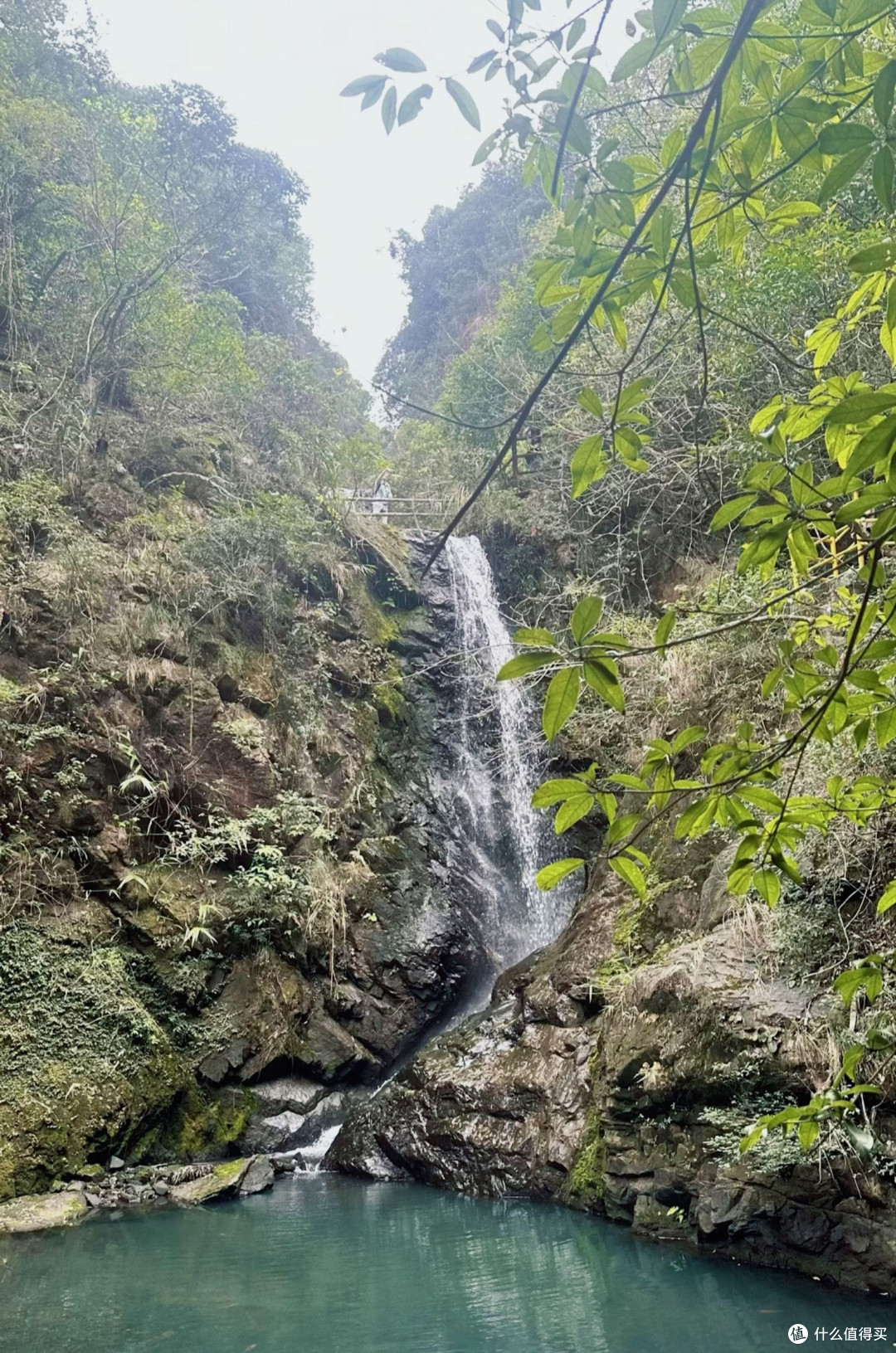没想到在广东也能看到这样的风景!