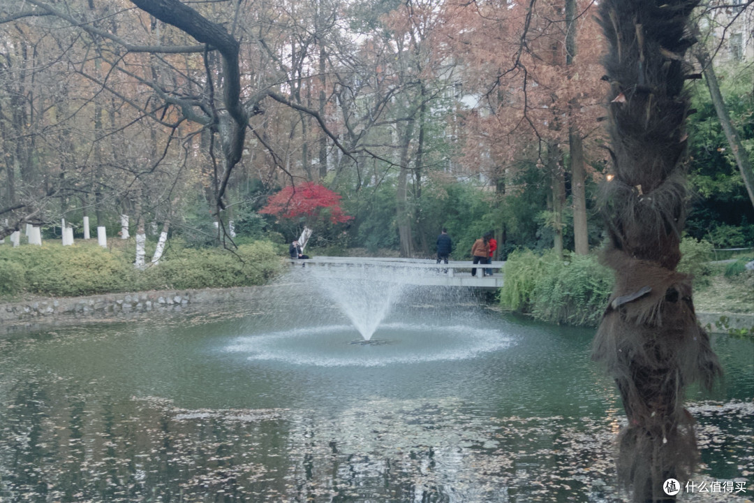周末出游：探索自然美景