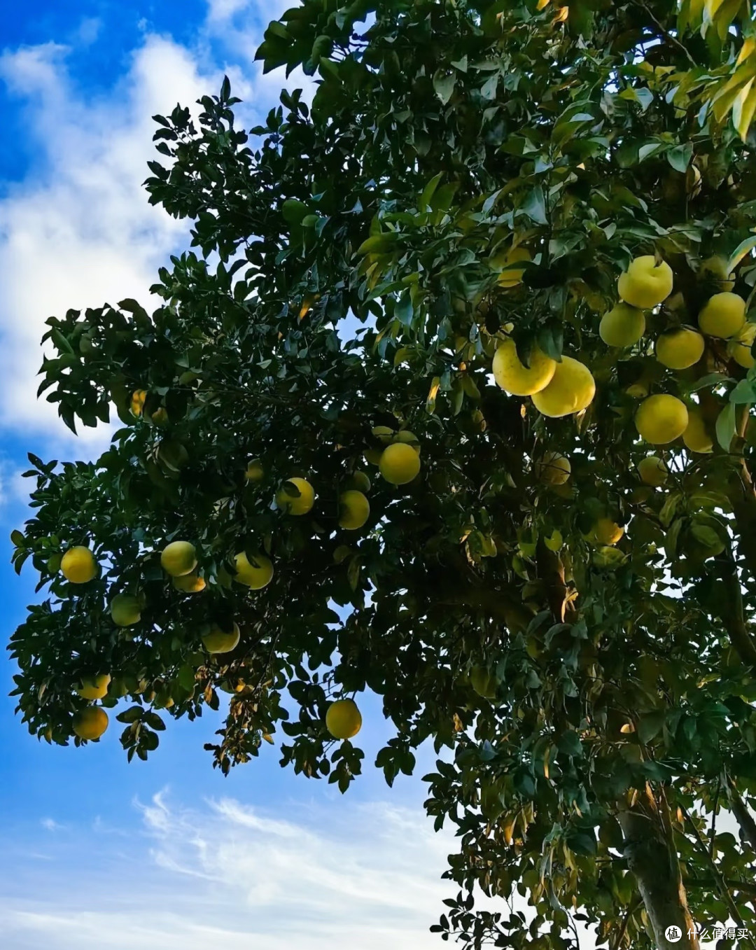 阳坡湖一日游