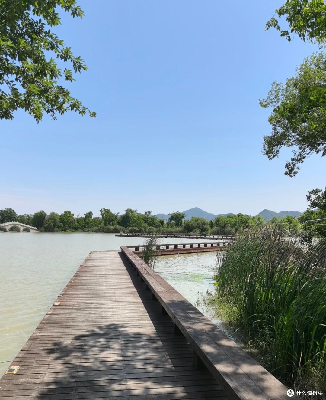 阳坡湖一日游