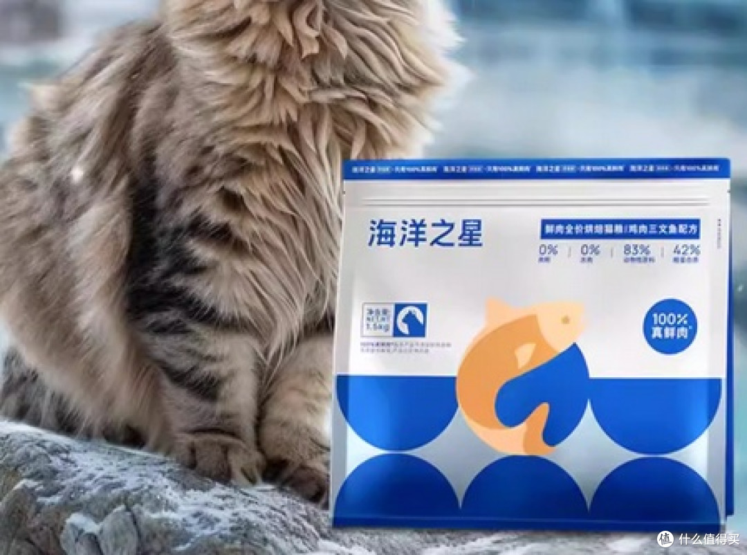 宠物猫粮哪个牌子好性价比高？2025年优质猫粮推荐排行榜最新最全
