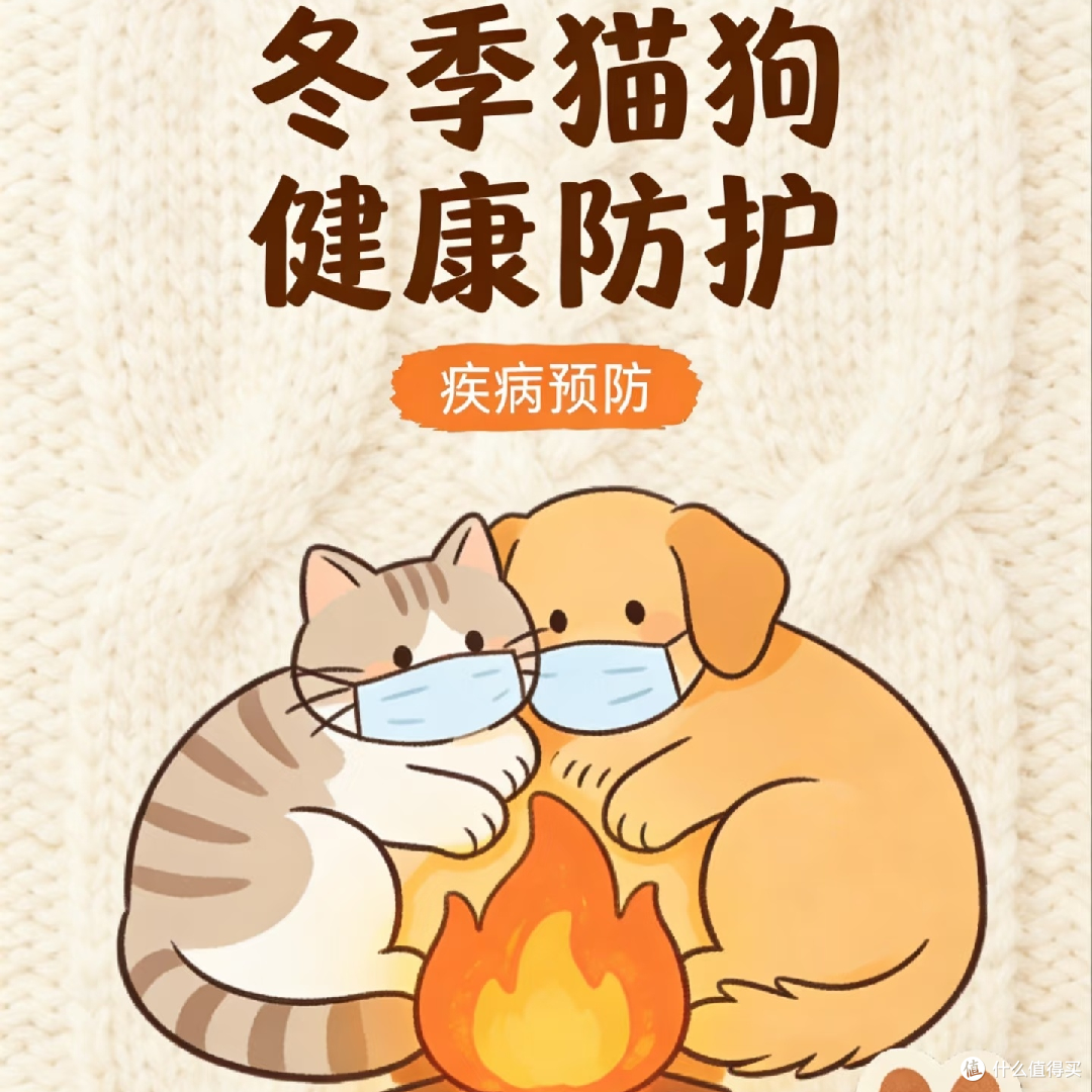冬季猫狗养护指南:保暖与护理