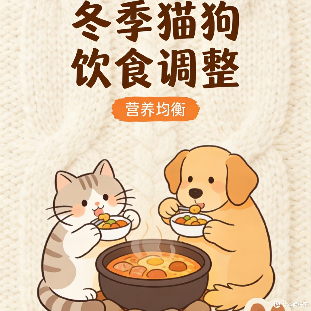 冬季猫狗养护指南:保暖与护理