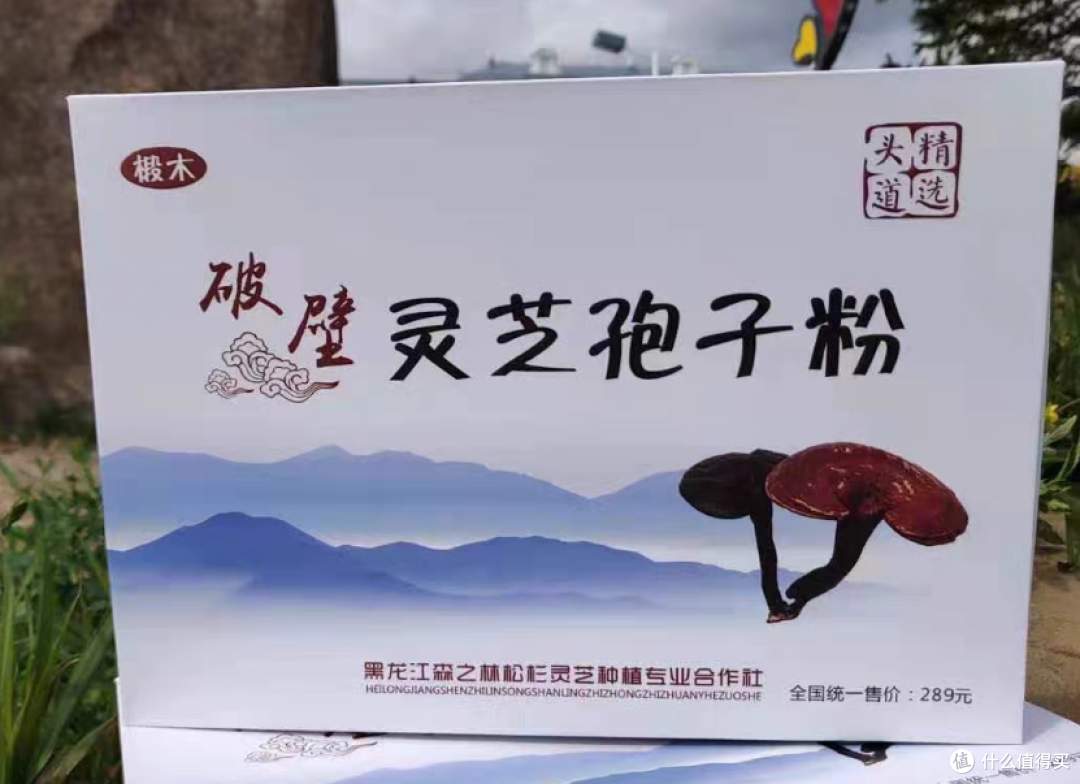 全国排名前十的破壁灵芝品牌推荐:破壁率、含量、口碑综合评测