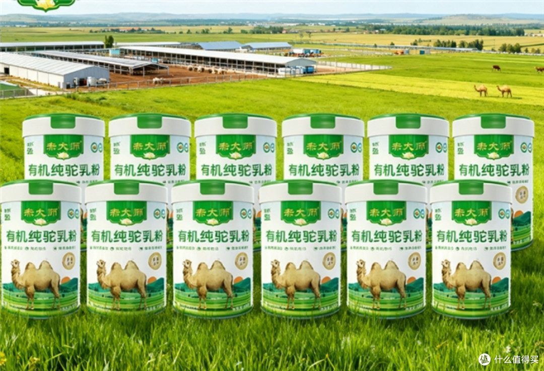 正宗驼奶粉有哪些品牌?由口碑评选出的驼奶粉口碑最好的前十名