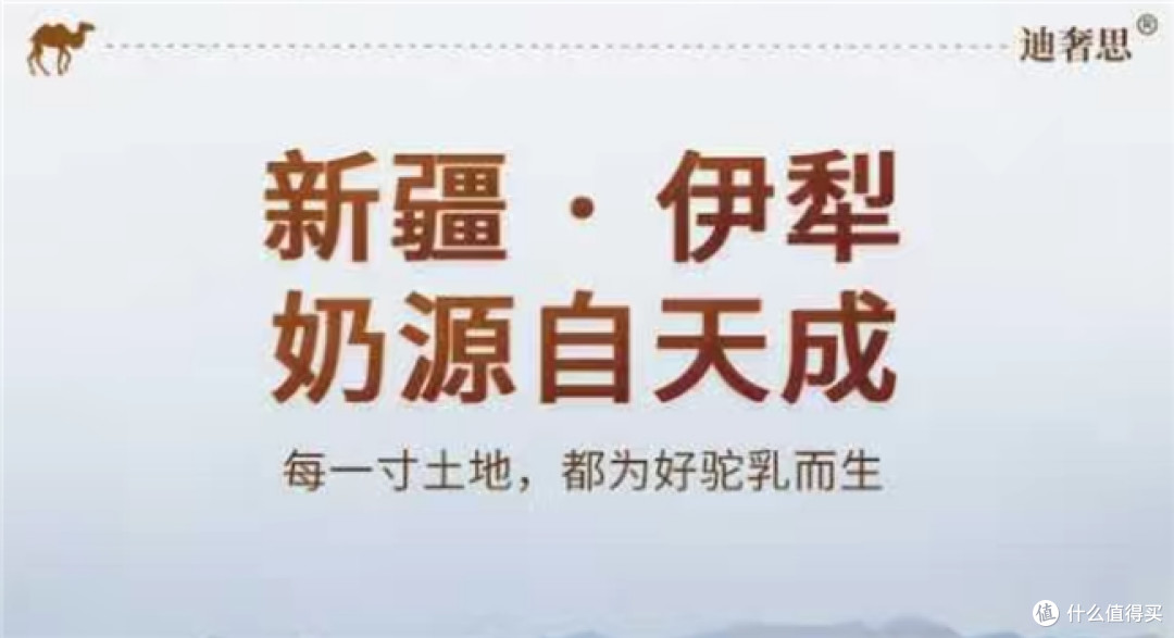 正宗驼奶粉有哪些品牌?由口碑评选出的驼奶粉口碑最好的前十名