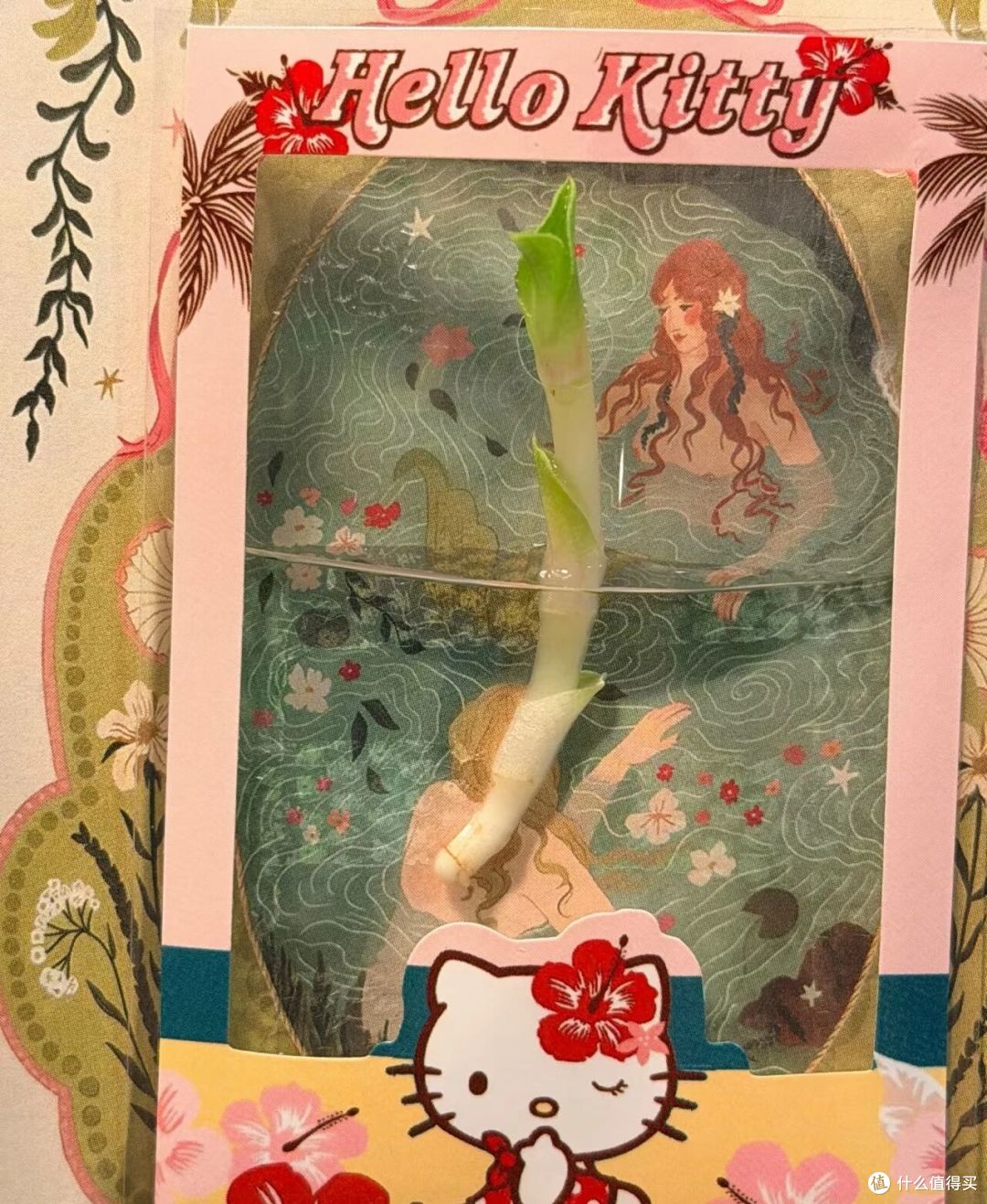 辽宁一女子，晒“全网最牛植物”走红，网友：是想卷上天？