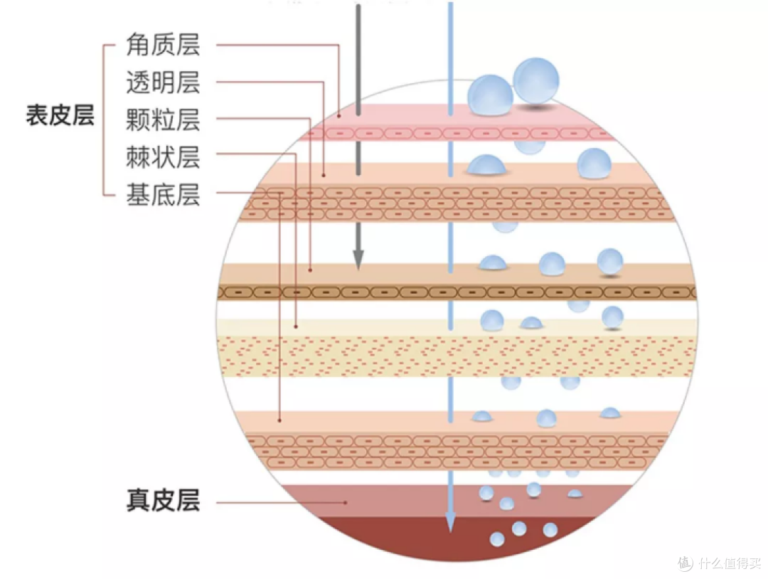 冬天皮肤干燥、易敏?hfp二裂酵母面膜亲测急救有效!