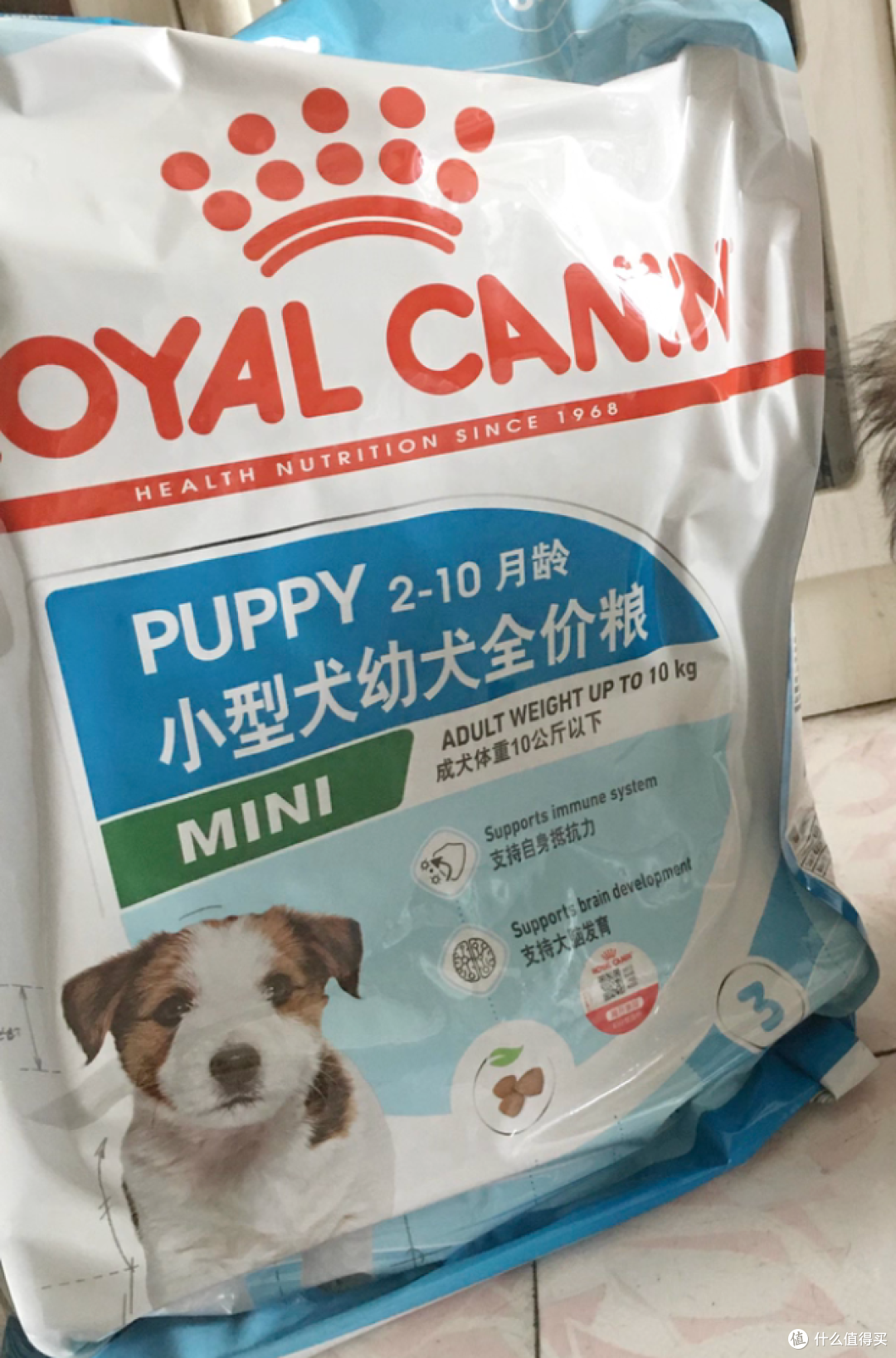 营养价值高的幼犬粮怎么选？TOP5推荐及选购指南