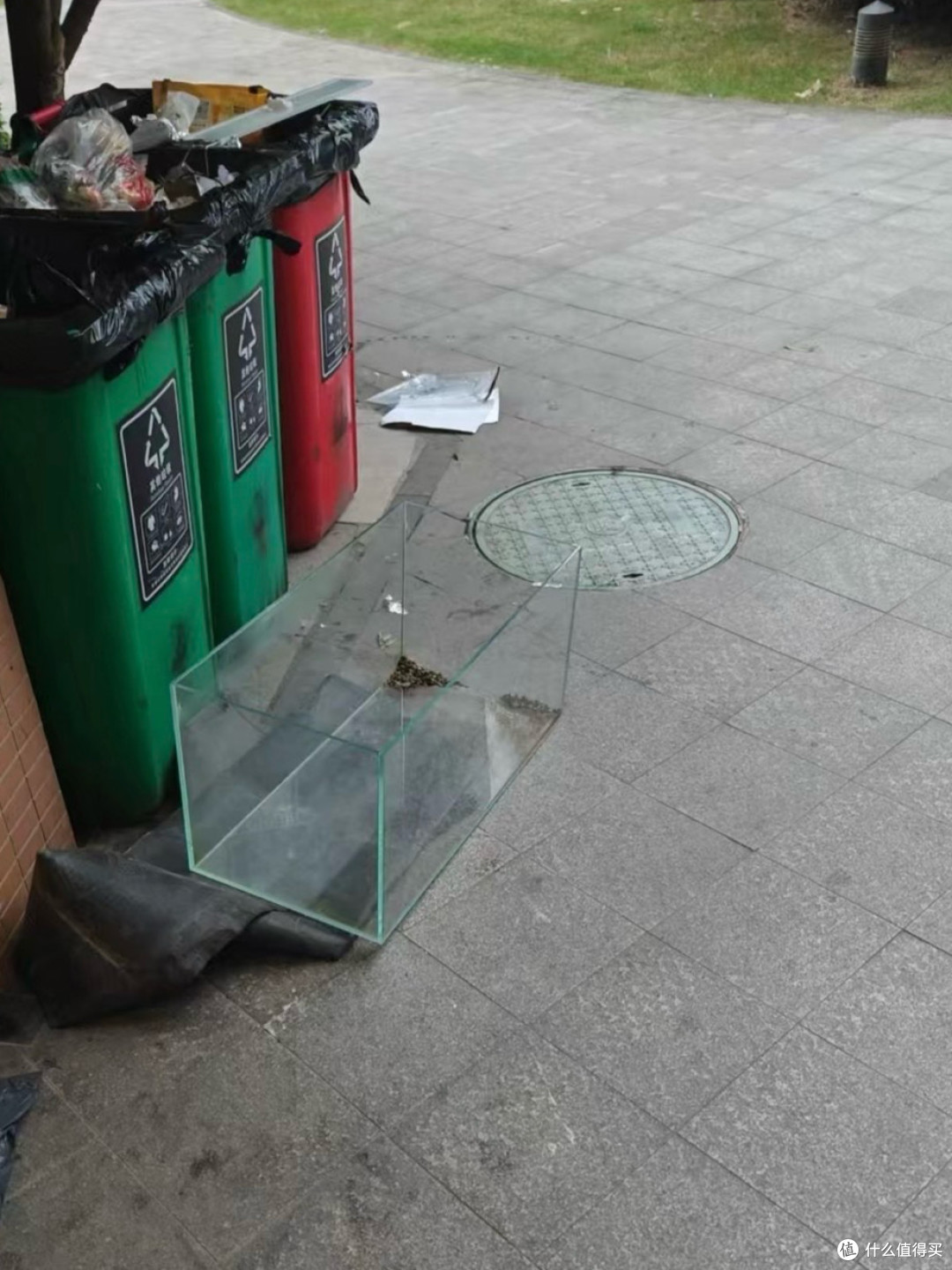 养鱼的尽头是裸缸