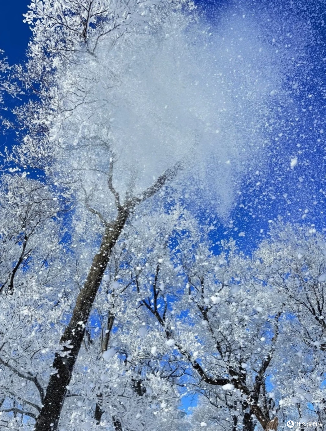 双旦庐山冰雪跨年