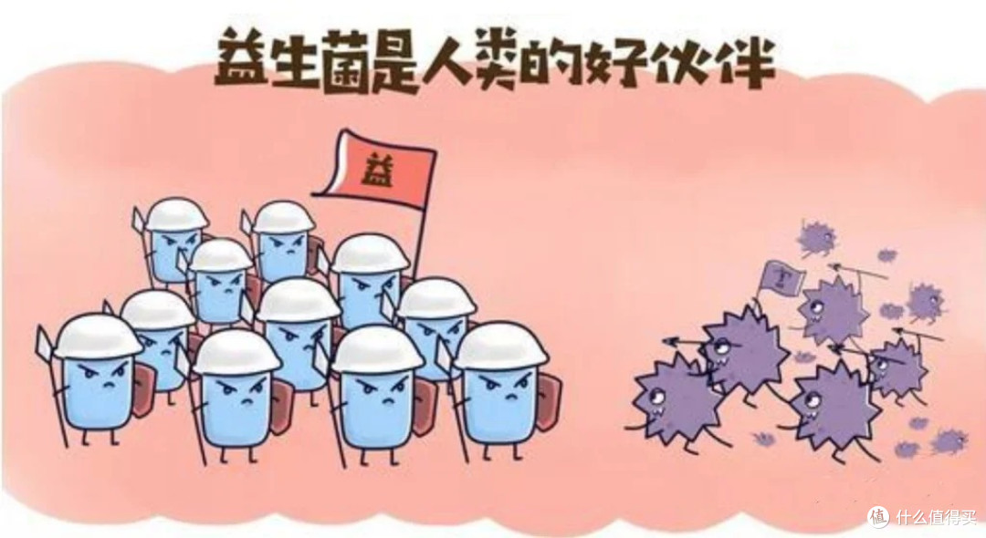 睡前肠道急救法:每天 10 分钟,轻松赶走胀气和便秘